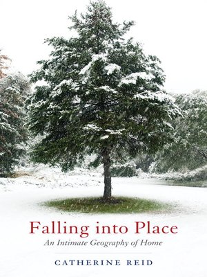 Falling into Place - ebook